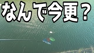 巨大オオウナギを狙ったら意外なものが釣れた【釣りよか】