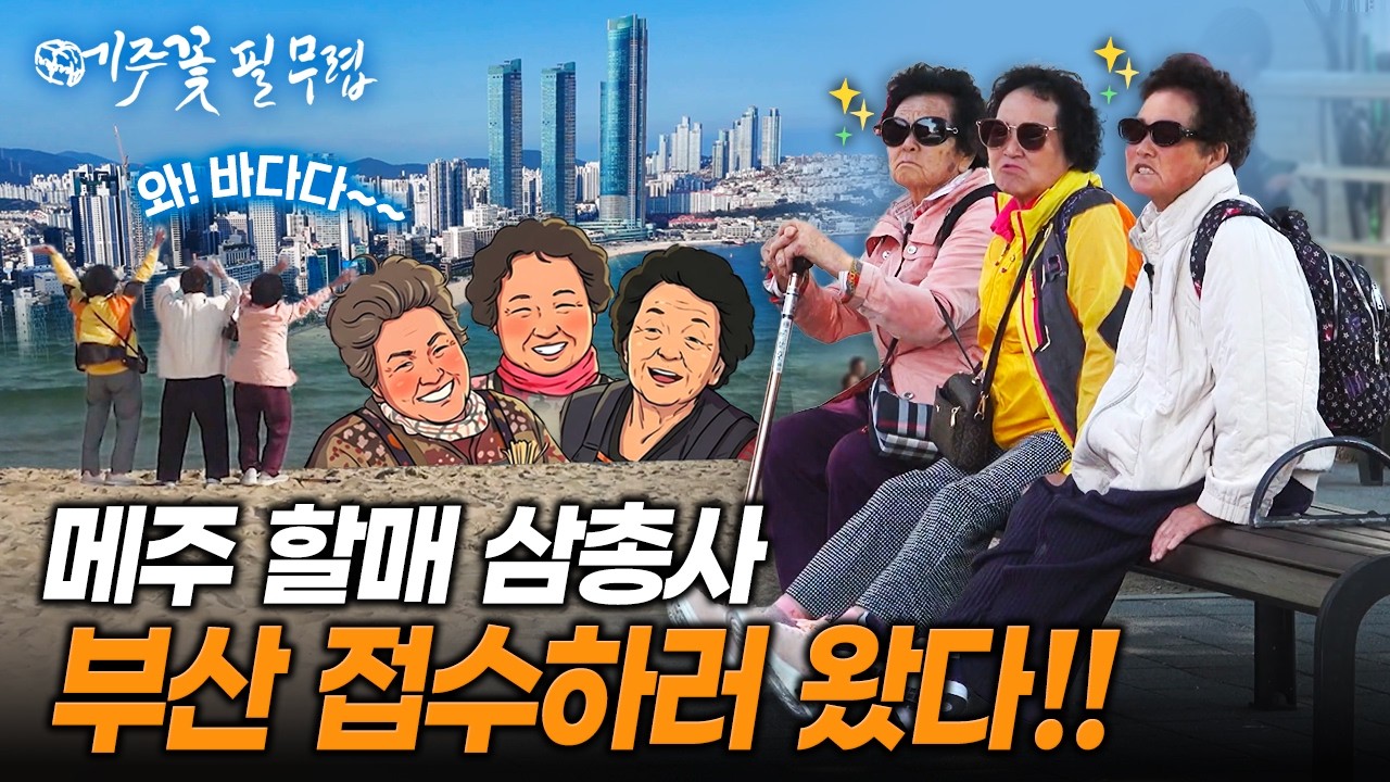 학가산 메주 할매 삼총사 부산 나들이, 해운대부터 용두산공원까지 좌충우돌 여행기 | KBS 260217 방송
