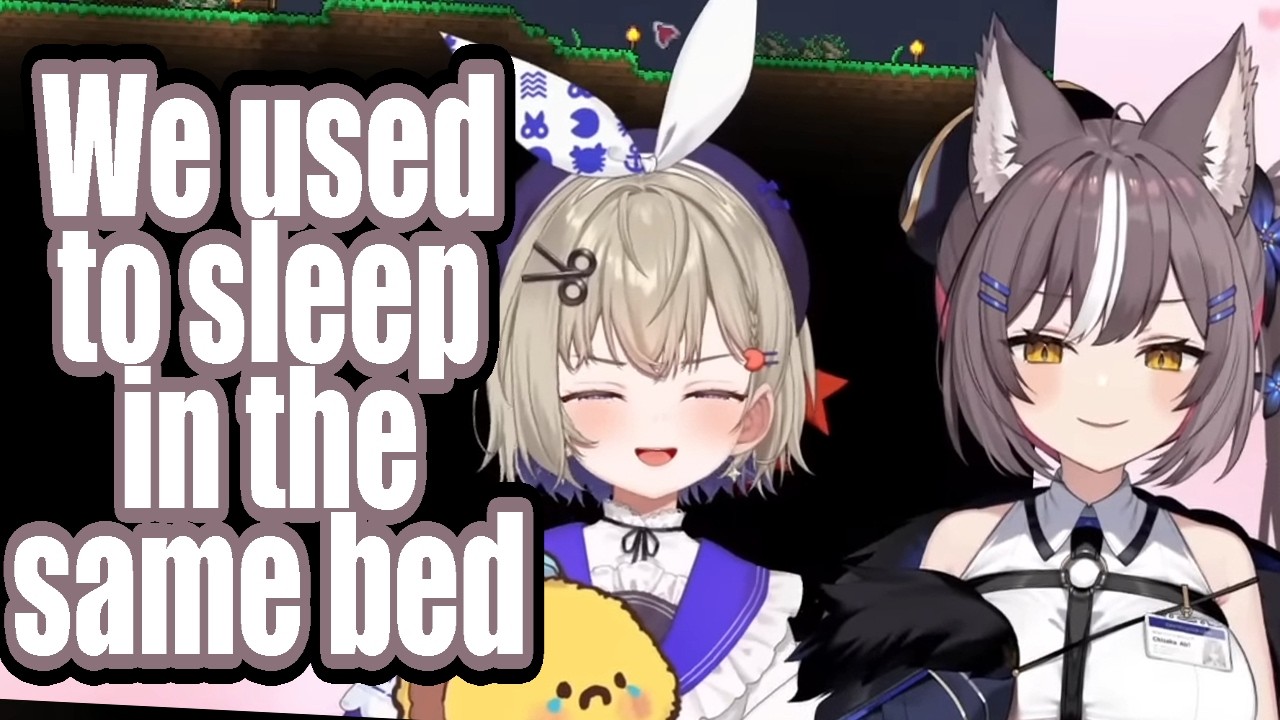 Airi and Shiina have a fight on stream | #phaseclips | [Phase Connect]