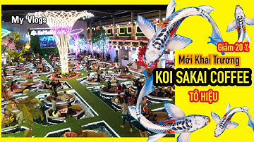 KOI SAKAI COFFEE Tô Hiệu - Quán Cà Phê Cá Koi Đẹp Ở Sài Gòn / My Vlogs