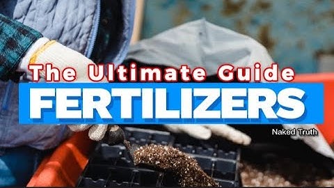The Ultimate Guide to Understanding Fertilizers and Plant Nutrition