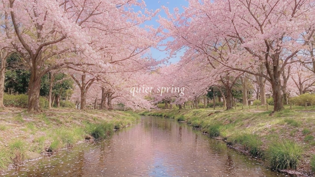 忙しい日々を忘れる時間 🌱｜桜が織りなす癒しのピアノ｜作業 , 読書 , 睡眠 , 勉強用