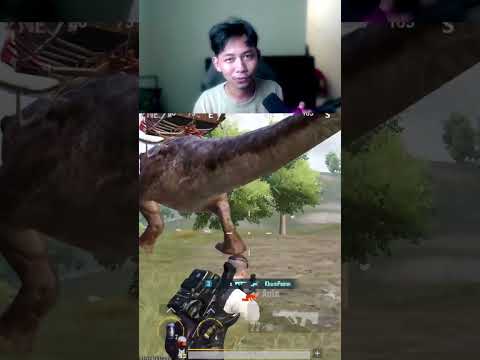 INI ALASAN KALIAN WAJIB PAKAI SENSI AURORA DOK 😱