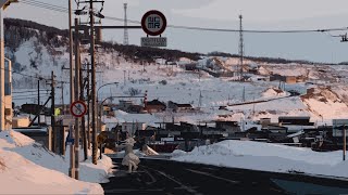 Distitled (bollocks)