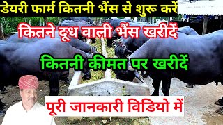 डेयरी फार्म कितनी भैंस से शुरू करें/How to start dairy farm in India Hindi Part -8