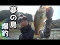 誰でも釣れる！夢の島行って来た　＃２　【誰でも釣れる野池】