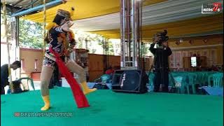 Ndolalak KENDOGO PUTRI LESTARI kiprah Anting-Anting Diajeng PUTRI ‼️ Ndolalak Purworejo