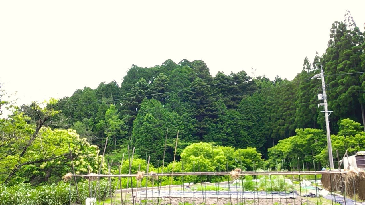 一道道山 竹笛 Youtube 一道道山 竹笛 Youtube
