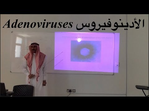 Adenoviruses | الأدينوفيروس