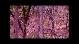 Bow hunting Corn Crib Outfitters. West Central Illinois 2011. Big buck miss captured on video.