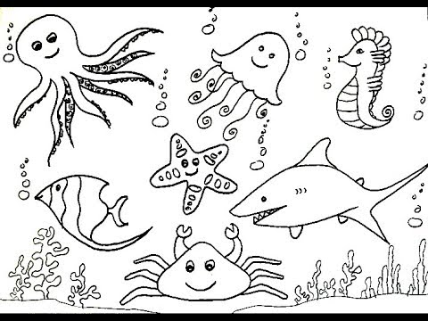 How To Draw Sea Creatures (Animals) - Sea Horse, Shark, Jelly Fish, Octopus  Etc. - YouTube