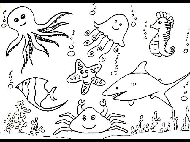 Hand drawn lineart sea life set, vector Stock Vector Image & Art - Alamy