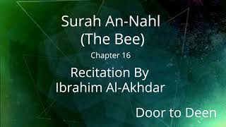 Surah An-Nahl (The Bee) Ibrahim Al-Akhdar  Quran Recitation