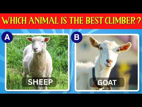 🦁 Only 1% Can Score 50/50! 🐘 Ultimate Animal Trivia Quiz 🐝 | Test Your Animal Knowledge!