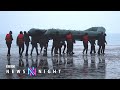 New video by BBC News on YouTube