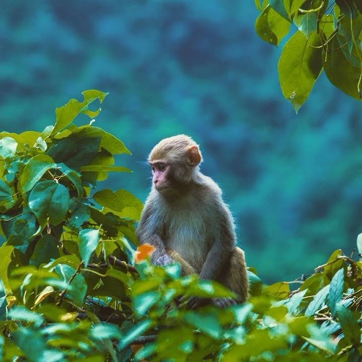 uri ninda utha manushulu song trending song lyric 30 seconds whatsaap status