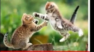 Psikolog İzzet Güllü \