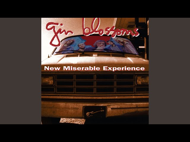 Gin Blossoms - Hold Me Down