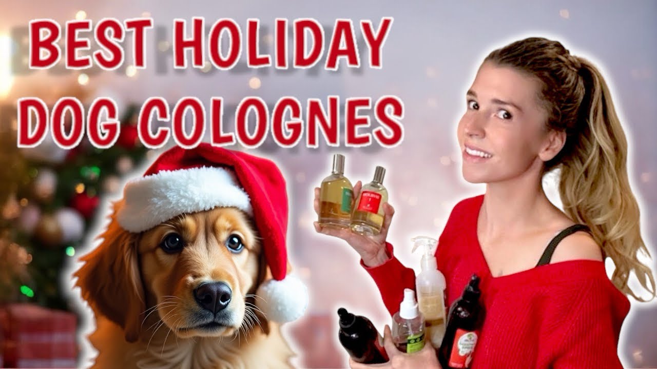 Ranking 10 Holiday Dog Colognes: The Ultimate Scent Guide!