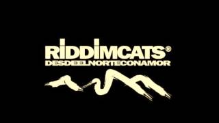 Esas noches - Riddim cats chords