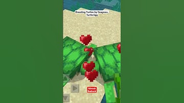How to get turtle egg, How to breed turtle in minecraft #bedrock