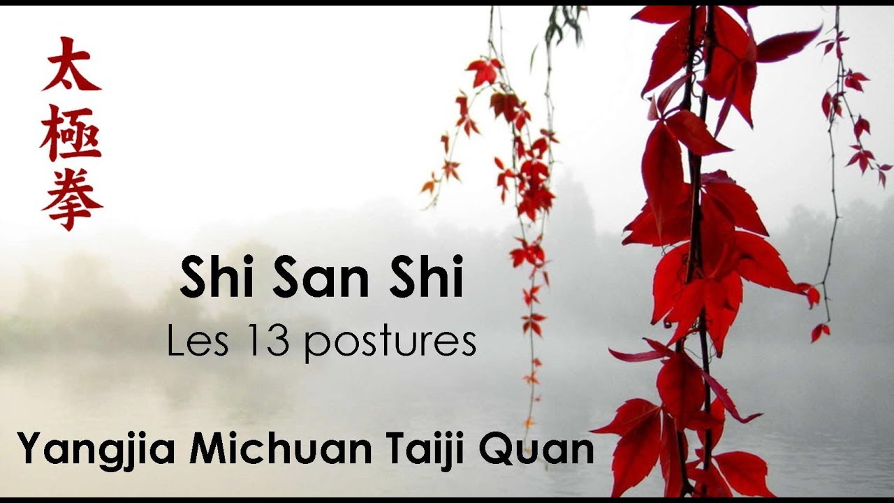 Shi San Shi - Les 13 postures du Yangji Michuan Taiji Quan