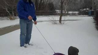 Maks sledding 1-31-10