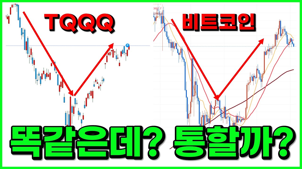 월 2,000만원 수익난 무한매수법 비트코인에서도 통할까? 그냥 결과로 보여드립니다 - YouTube