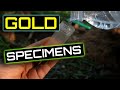 GOLD nuggets AND specimens FOUND
