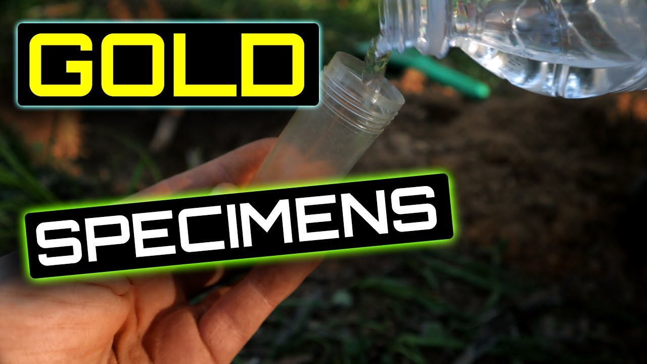 GOLD nuggets AND specimens FOUND