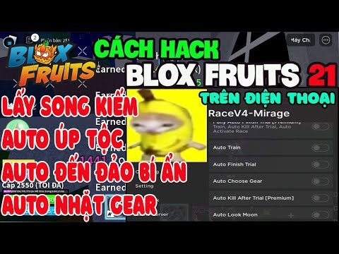 Hướng Dẫn Cách Hack Blox Fruit Trên Điện Thoại NO KEY,Auto Úp Tộc V4,Auto Nhặt Gear,Lấy Song Kiếm