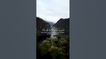 سورة أل عمران #ماهر_المعيقلي #like #قران_كريم #explore #tiktok #المتقين #milano #followers