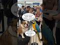 funny dog 🤣🤣#talkingdog #usa #aidog #cutepets #americanhumor #shortsusa #dogpodcast