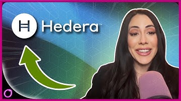 EVERYTHING YOU NEED TO KNOW ABOUT HEDERA!