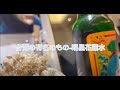 明星花露水：台湾のものを売る