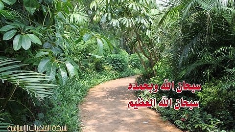 تلاوة رائعة سورة عبس امام الحرم الشيخ بندر بليلة www.qoranet.net