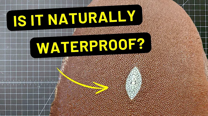 Stingray Leather: A Detailed Look