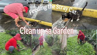 GARY HAS A SOFT SPOT ON STRAY ANIMALS ESP. CAT/ HOUSEHOLD CHORES TODAY PLUS  GARDEN CLEAN UP screenshot 1