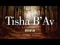 Tisha B’Av—9th of Av Coming Soon! | What’s Next?