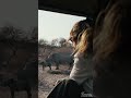 #LilyJames Visits Orapa Game Park in #Botswana | #safari #africa #wildlife #conservation