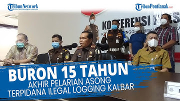 Kejaksaan Berhasil Ringkus Asong Terpidana Ilegal Logging Kalbar