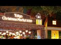 Japanese Christmas Market & Tokyo Lights