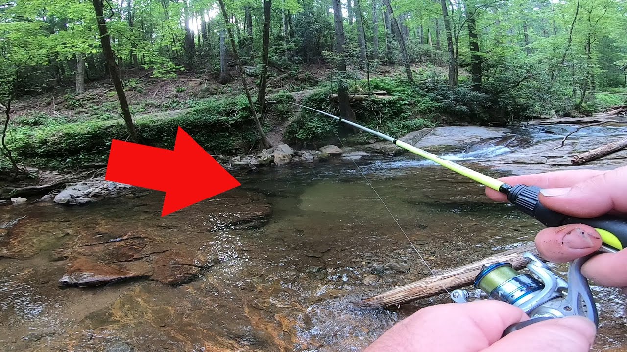 Trout Fishing This Beautiful Clear Water Creek!! YouTube