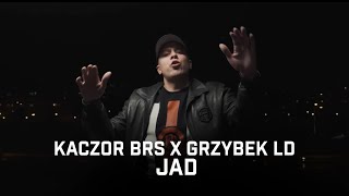 Kaczor BRS ft. Grzybek LD - Jad