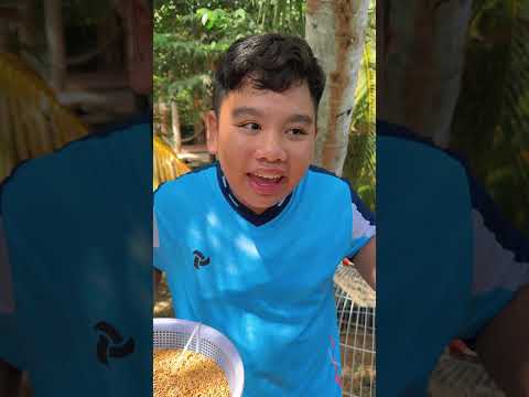 Nổi buồn của Sinl | Sinl #shorts