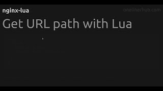Get URL path with Lua
