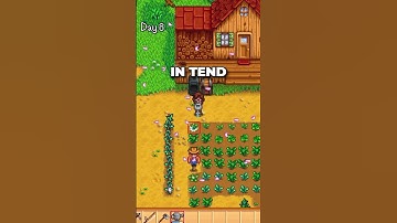 POV: It’s your first time playing stardew valley #stardewvalley