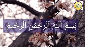 تلاوة هادئة تريح القلب للقارئ الشيخ ناصر القطامي ❤ سورة الضحي 🤍❤ |حالات واتس اب قرآن كريم