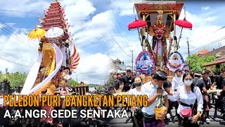 PELEBON PURI BANGKETAN PETANG | A.A.NGR.GEDE SENTAKA
