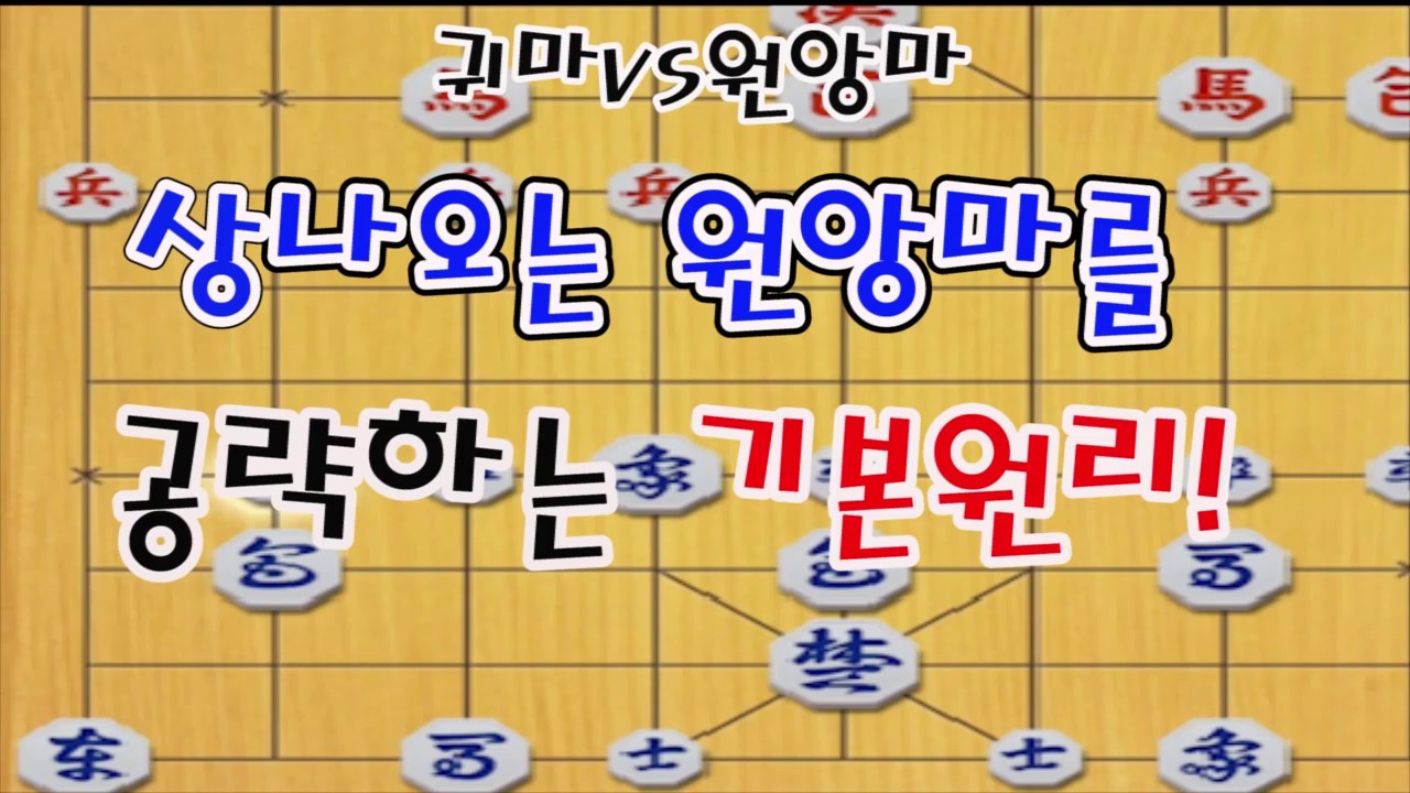 [상나오는 원앙마? 어려우시죠?? 이렇게 공략하세요!] 배우기 쉬운 기본원리의 이해! (장기)